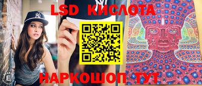 дмт Будённовск