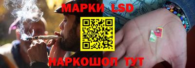 мдпв Гатчина