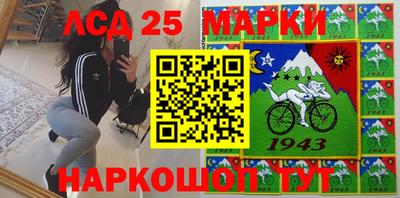 мдпв Гатчина