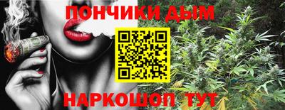 дмт Будённовск