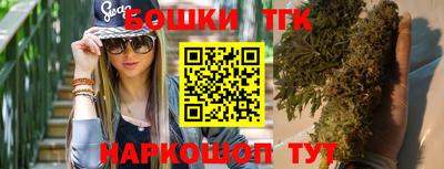 мдпв Гатчина