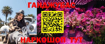 шишки Гагарин