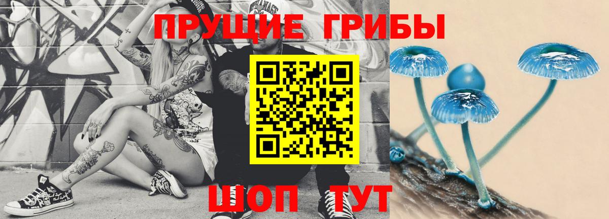 Галлюциногенные грибы Psilocybe  Екатеринбург  Псилоцибиновые грибы Psilocybe 